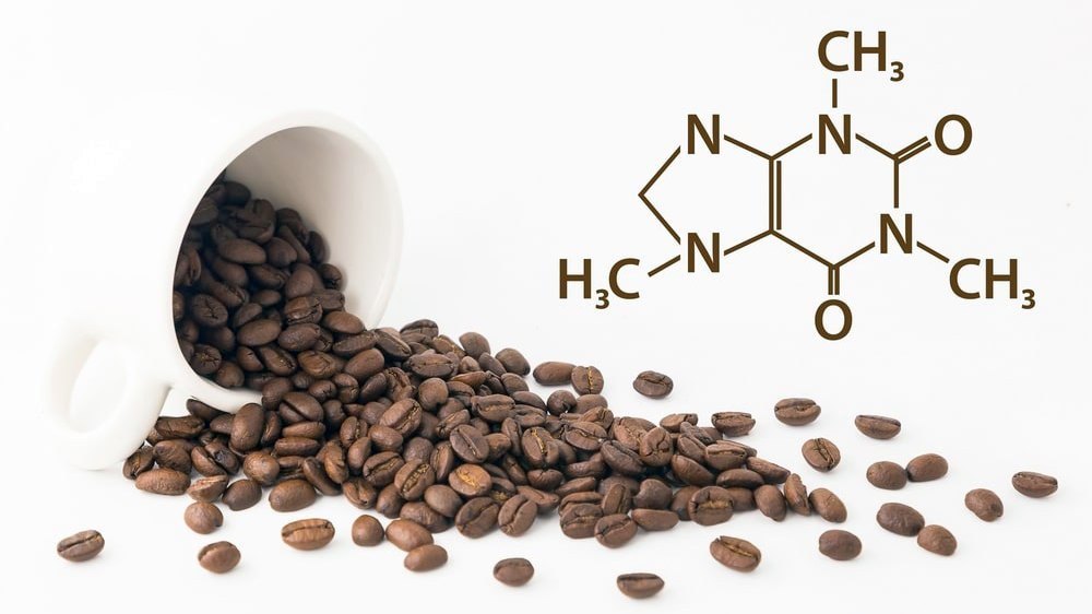 Самый популярный миф о кофеине